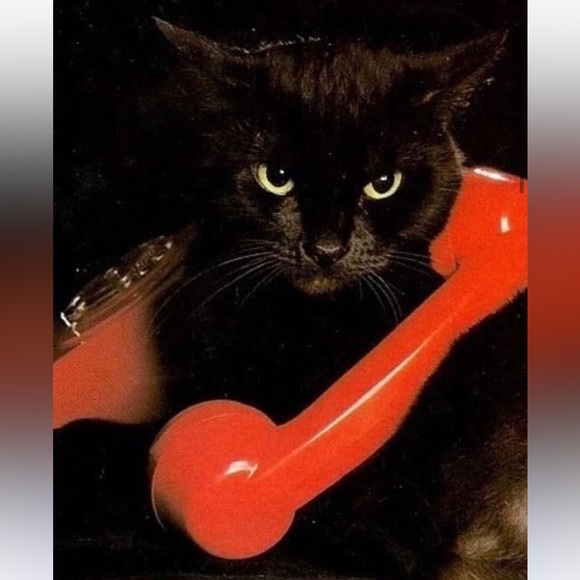 Offers are welcome, bundle for extra discount (plus shipping discount) - Picture 6 of 6